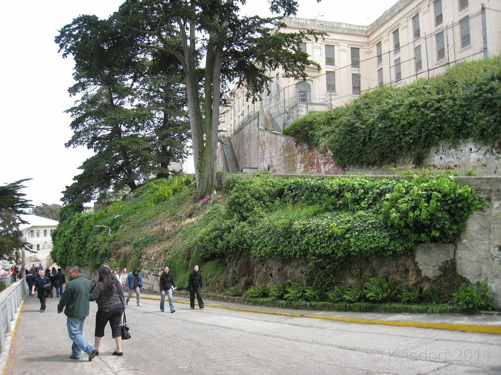 2011 Bay 2 Breakers Saturday 0830.JPG - I was able to participate in the 2011, 100th anniversary of the San Francisco Bay to Breakers 12K race. A great weekend for sight seeing and racing.